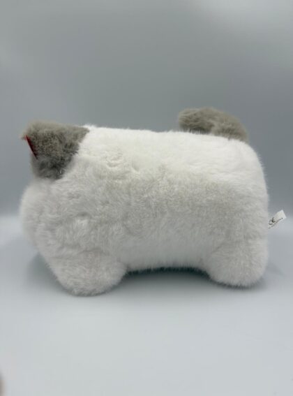 kot szary bok kot szary bok