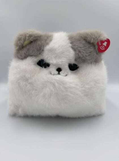 kot szary przód kot szary przód